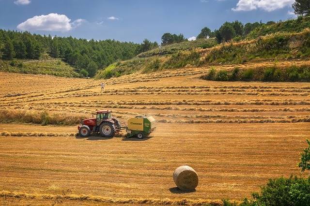 2023小麦最低保护价是多少钱 2023年小麦最低收购价格